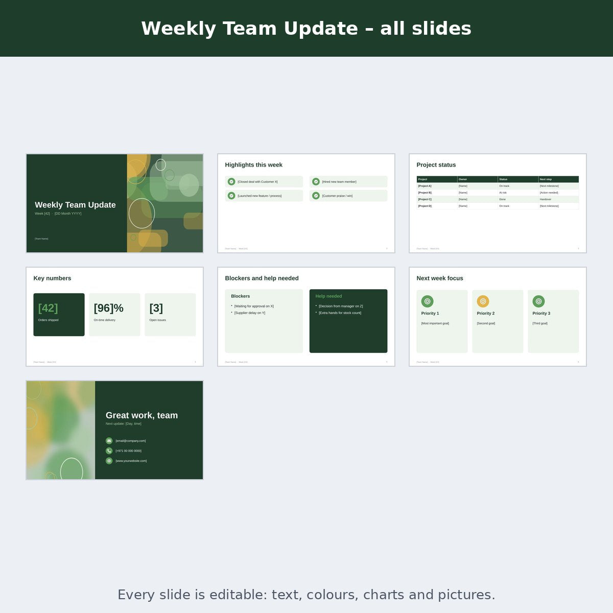 Weekly Team Update – preview