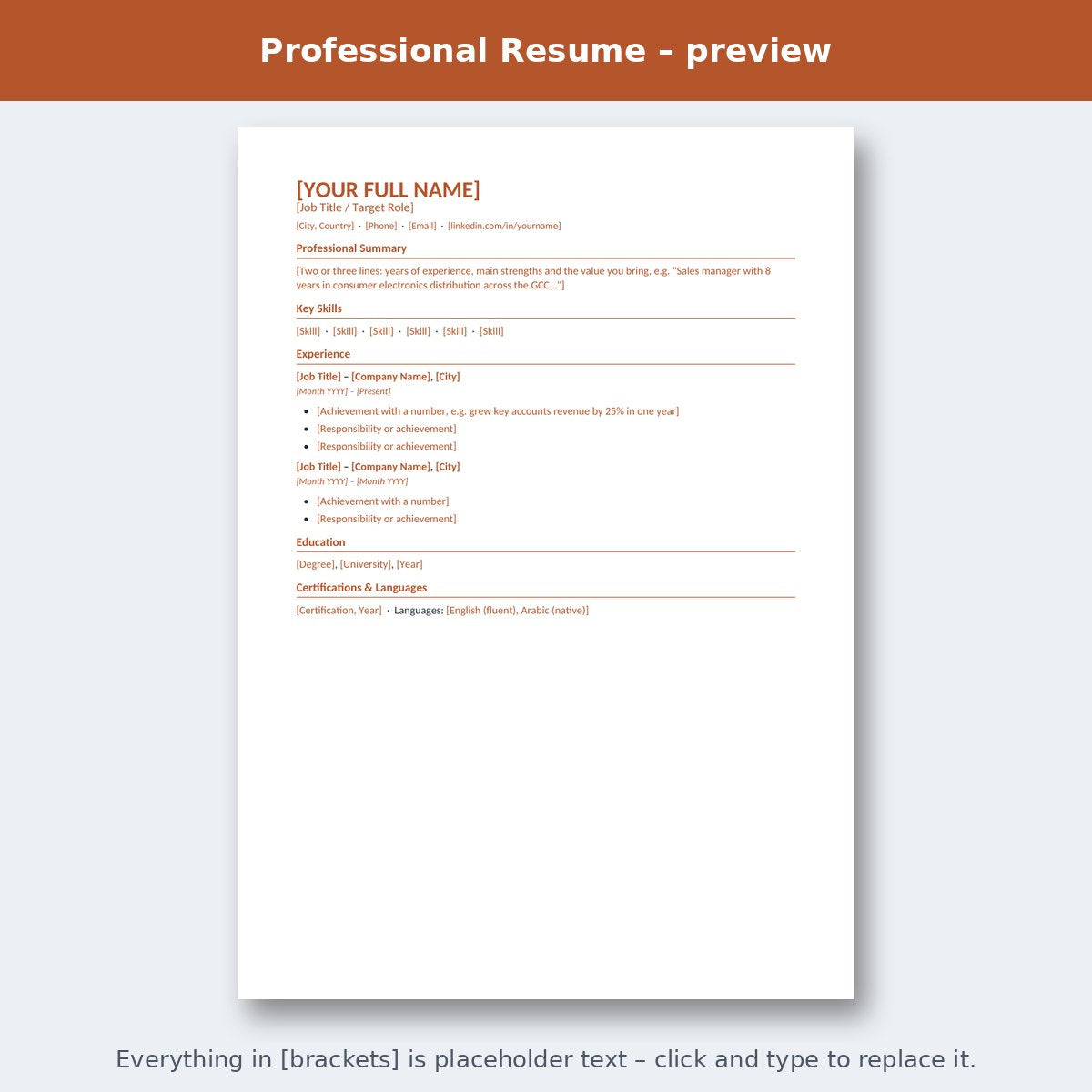 Professional Resume – preview