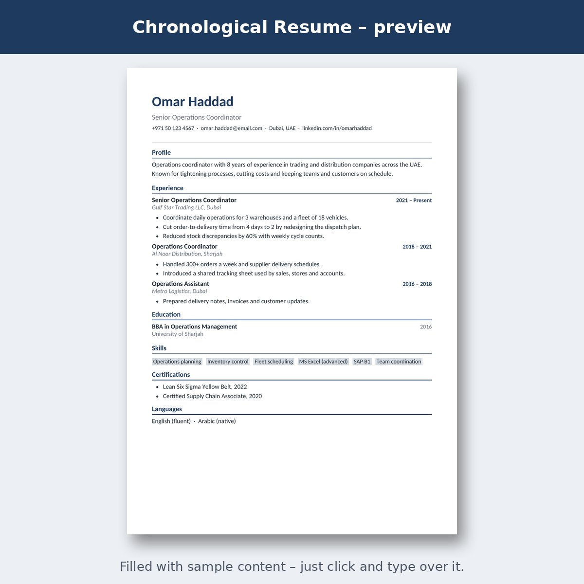 Chronological Resume – preview