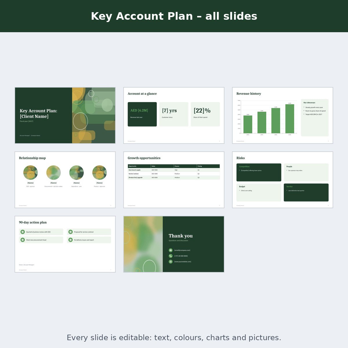 Key Account Plan – preview