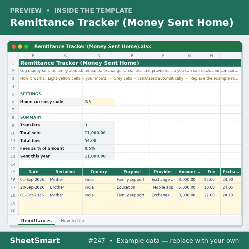 Remittance Tracker (Money Sent Home) – sheet preview
