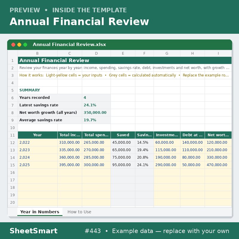 Annual Financial Review – sheet preview