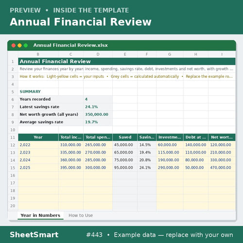Annual Financial Review – sheet preview