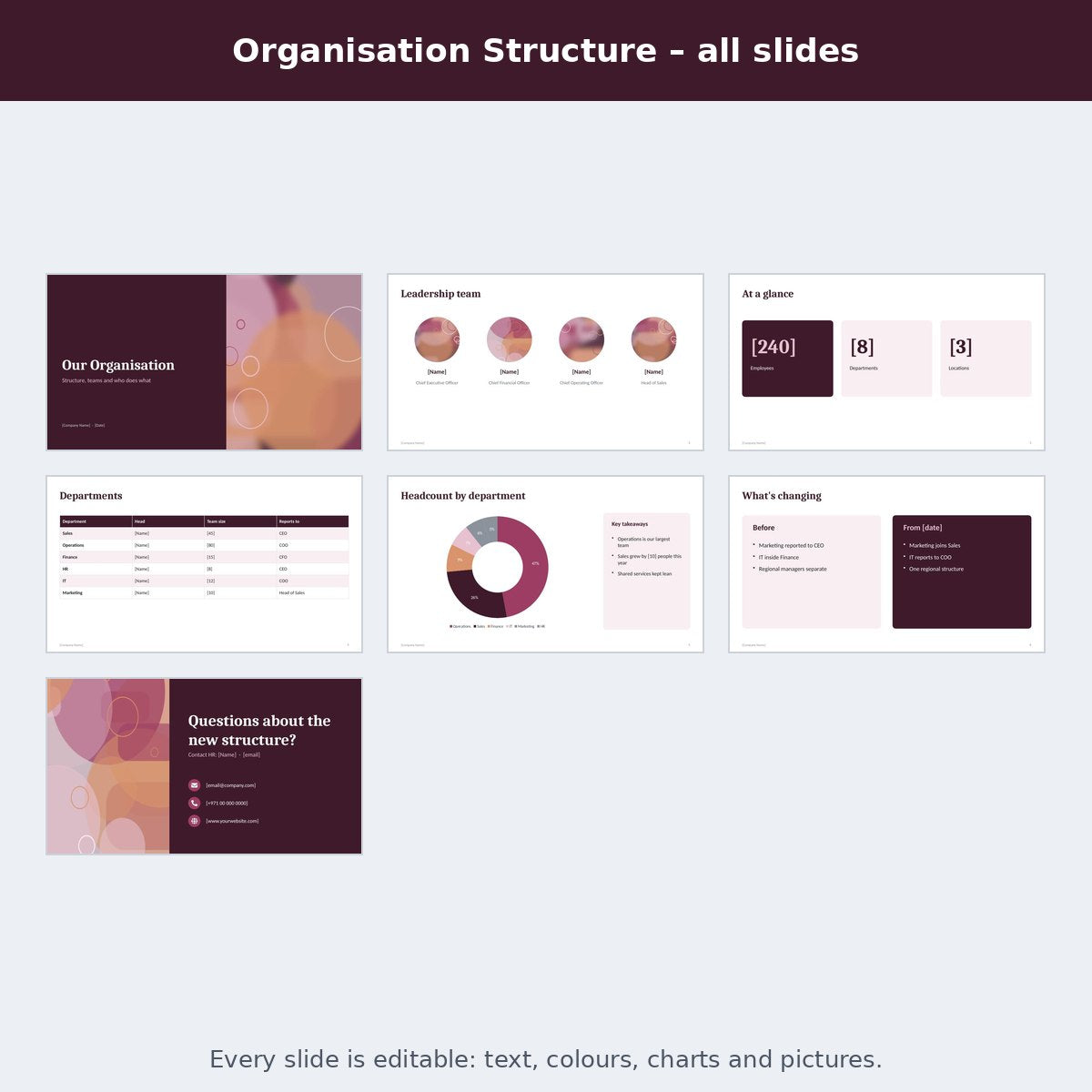 Organisation Structure – preview
