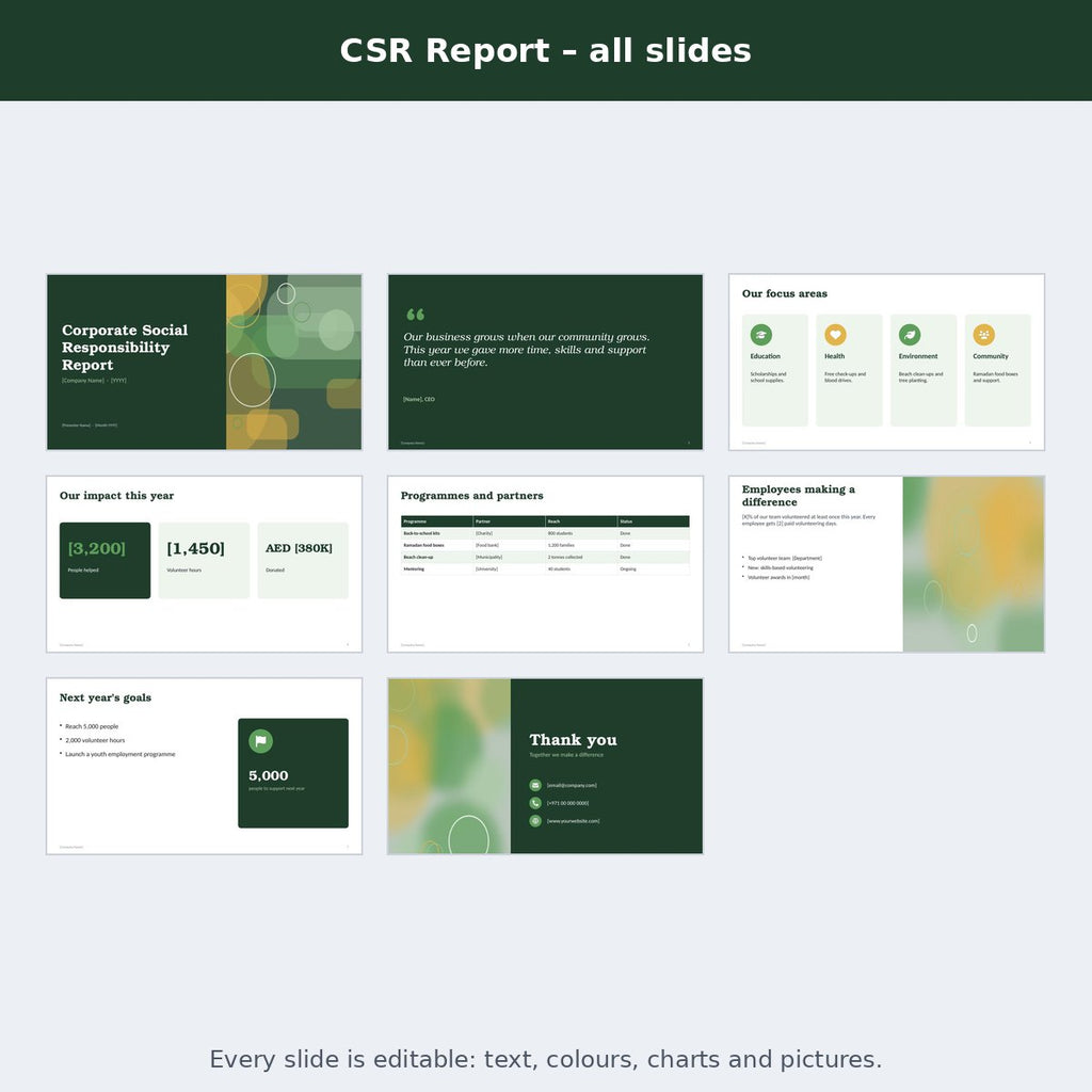 CSR Report – preview