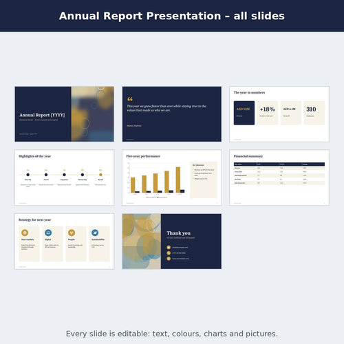 Annual Report Presentation – preview