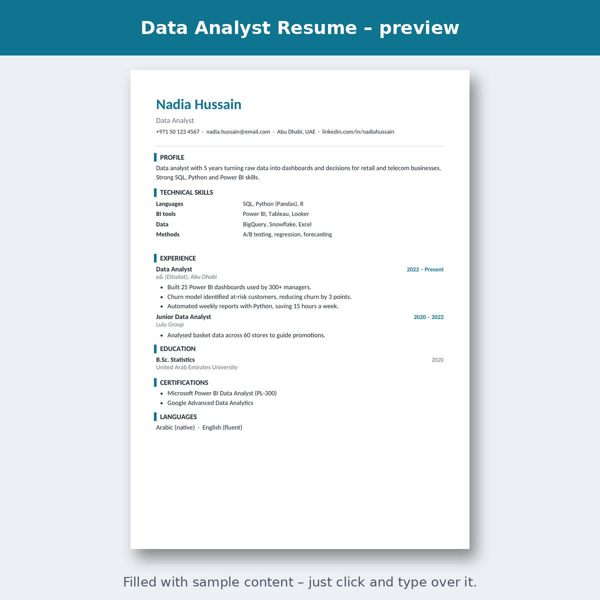 Data Analyst Resume – preview