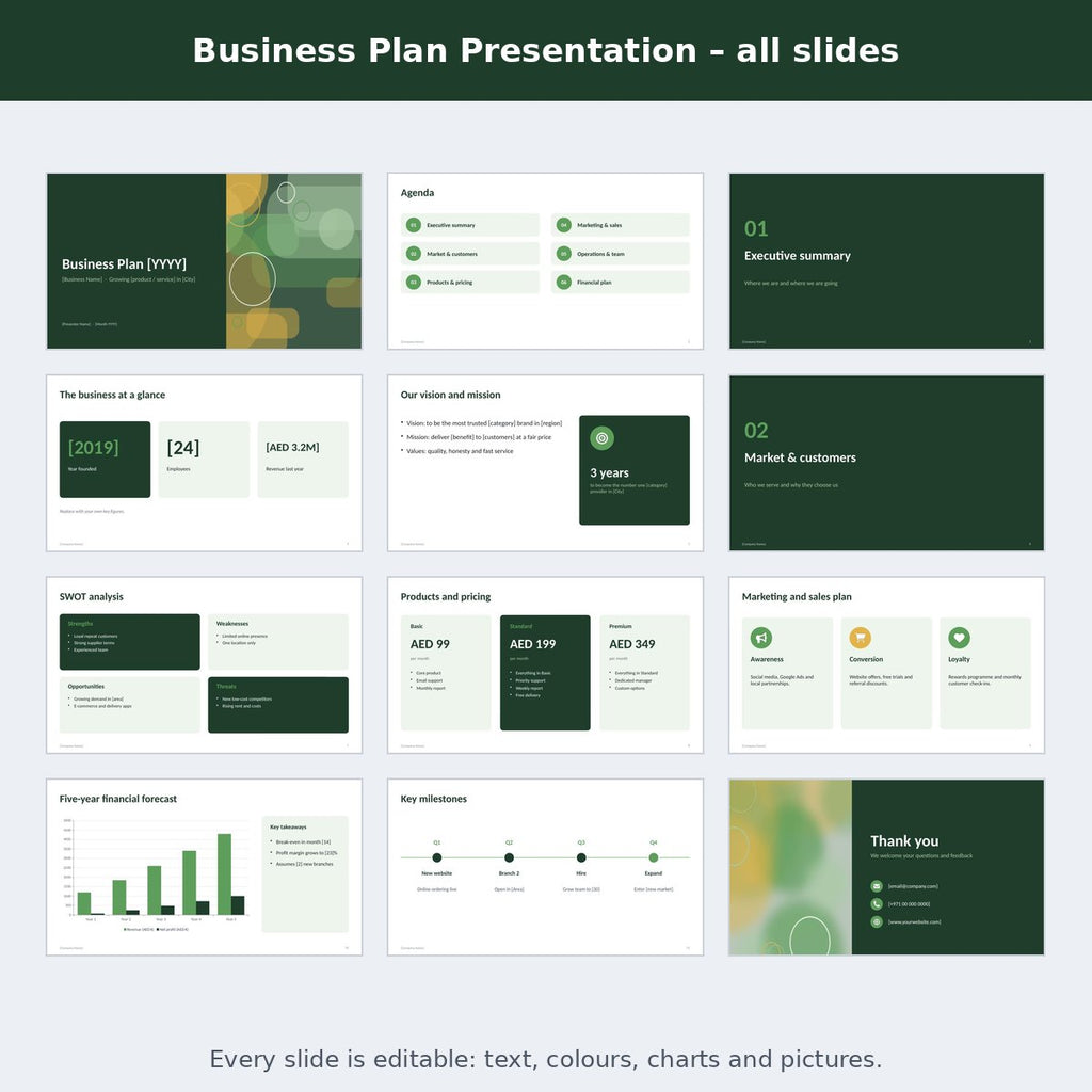Business Plan Presentation – preview