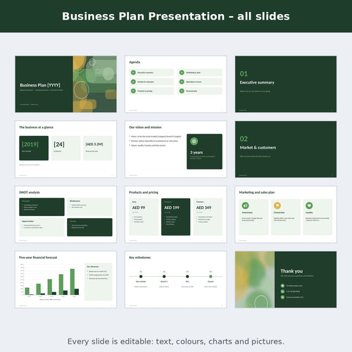 Business Plan Presentation – preview