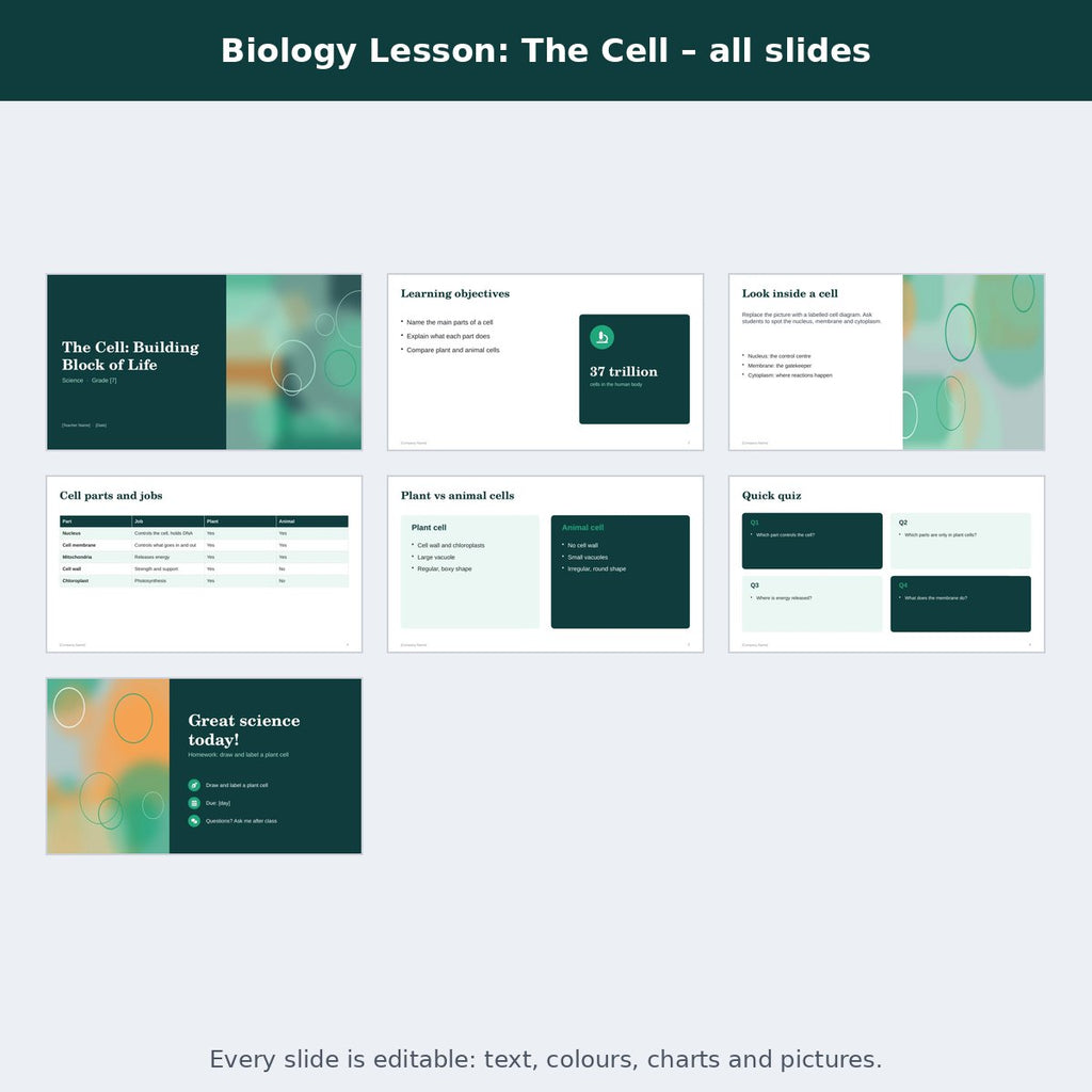 Biology Lesson: The Cell – preview