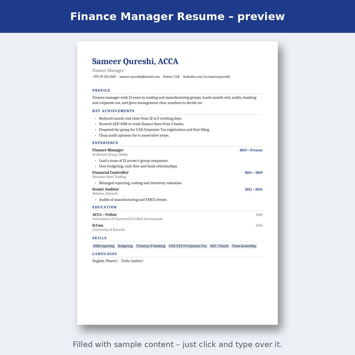 Finance Manager Resume – preview