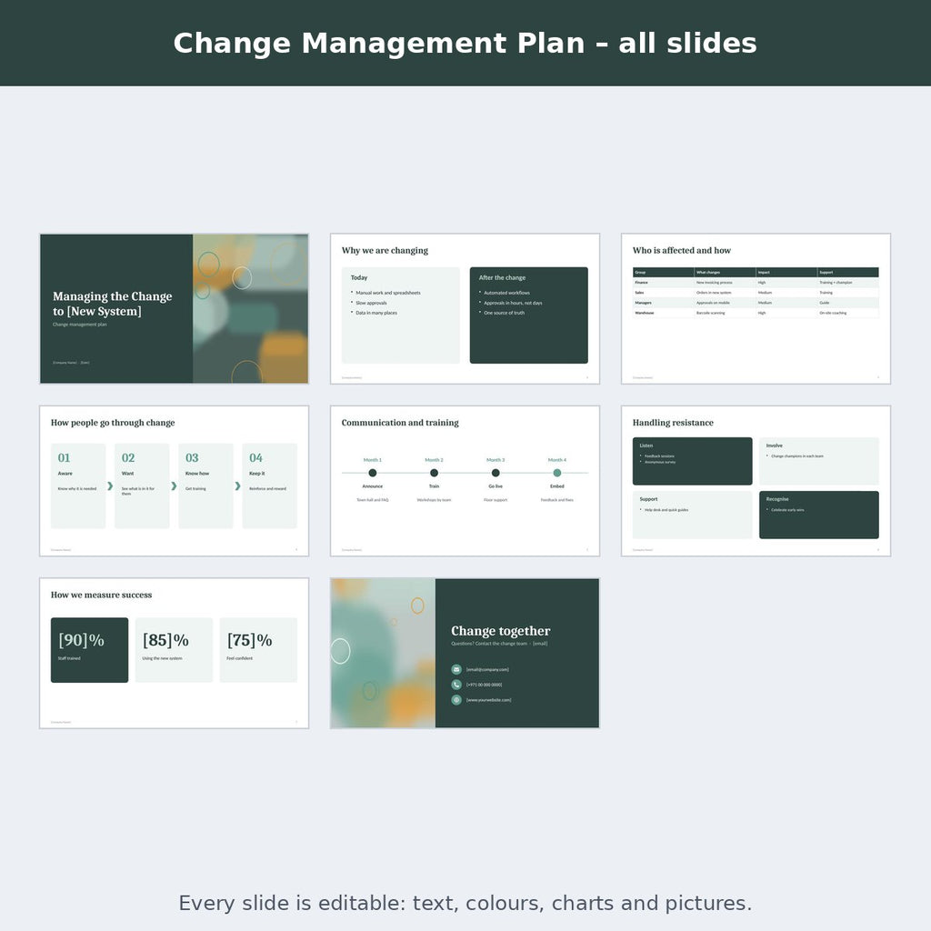 Change Management Plan – preview