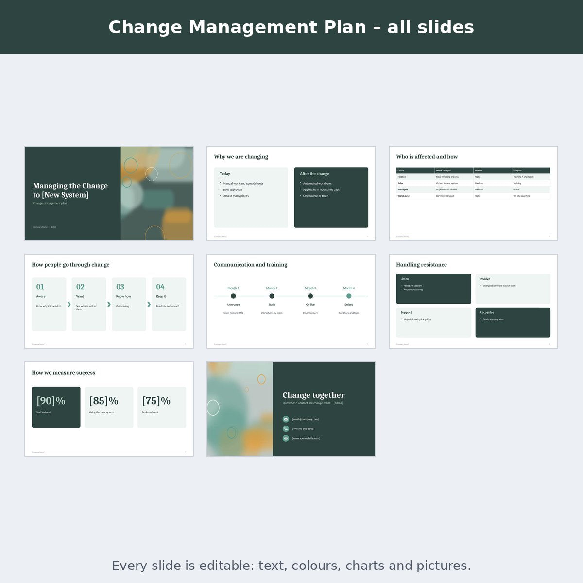 Change Management Plan – preview