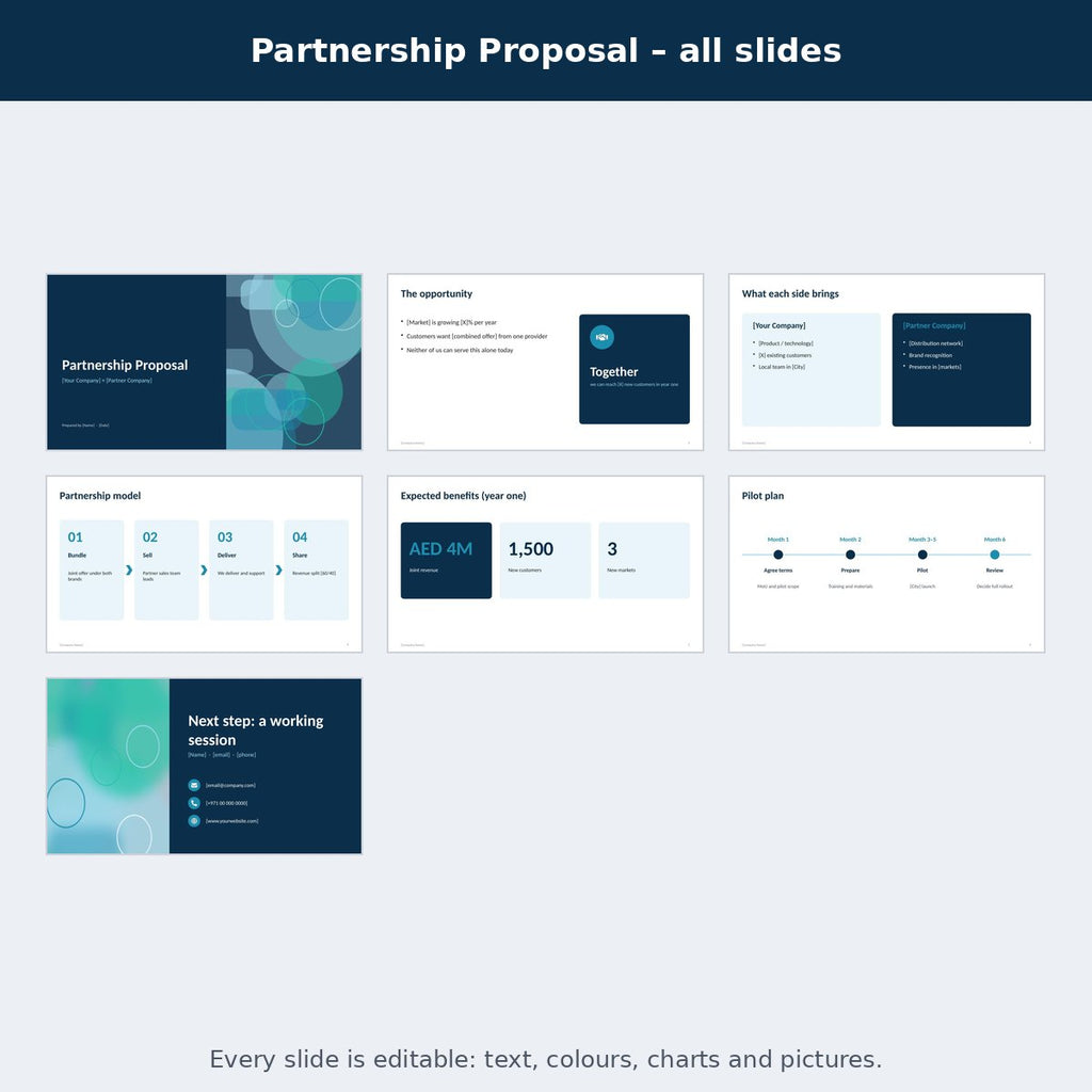 Partnership Proposal – preview