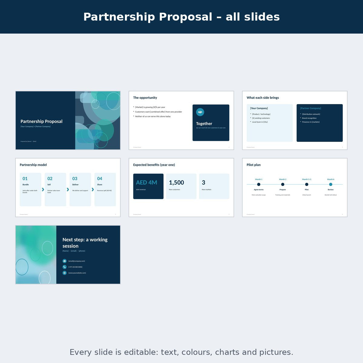 Partnership Proposal – preview