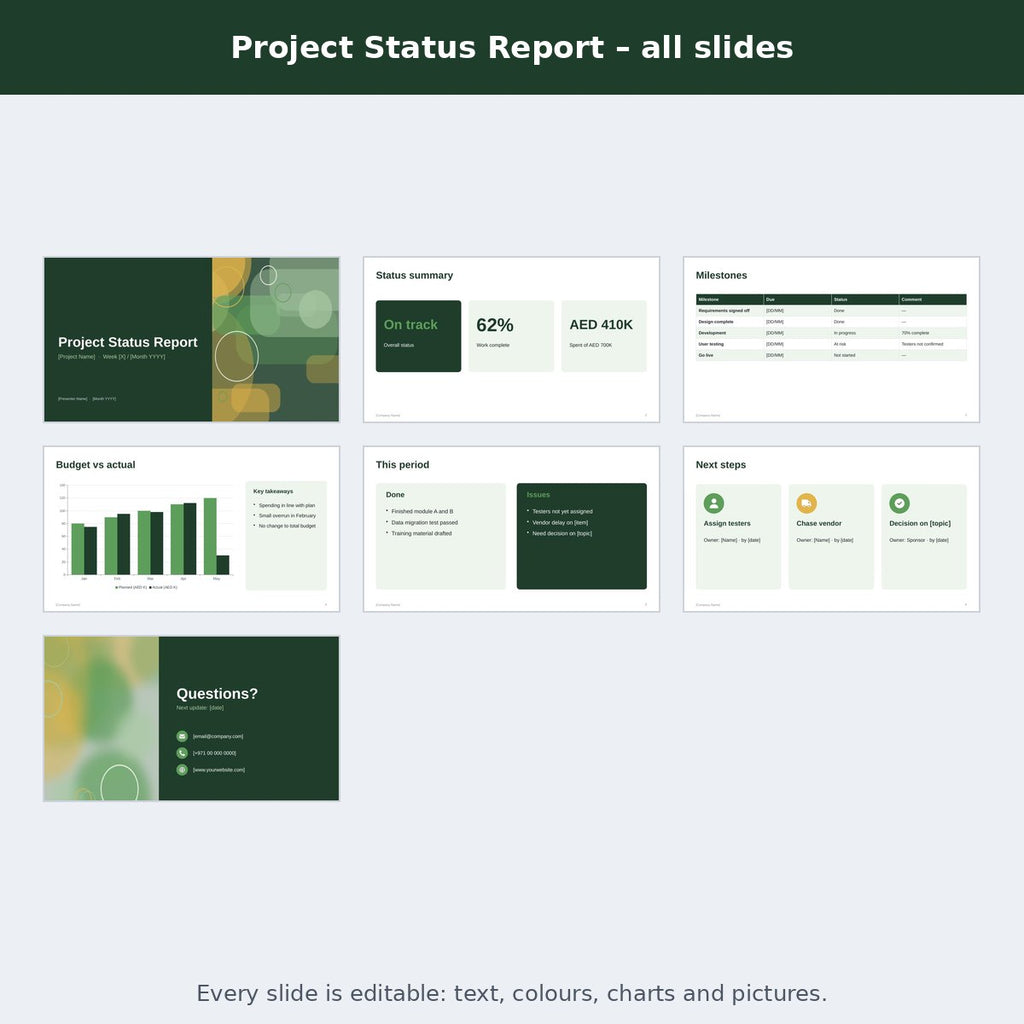 Project Status Report – preview