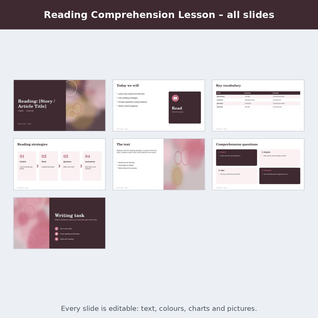 Reading Comprehension Lesson – preview