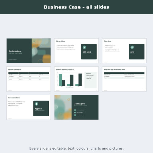 Business Case – preview