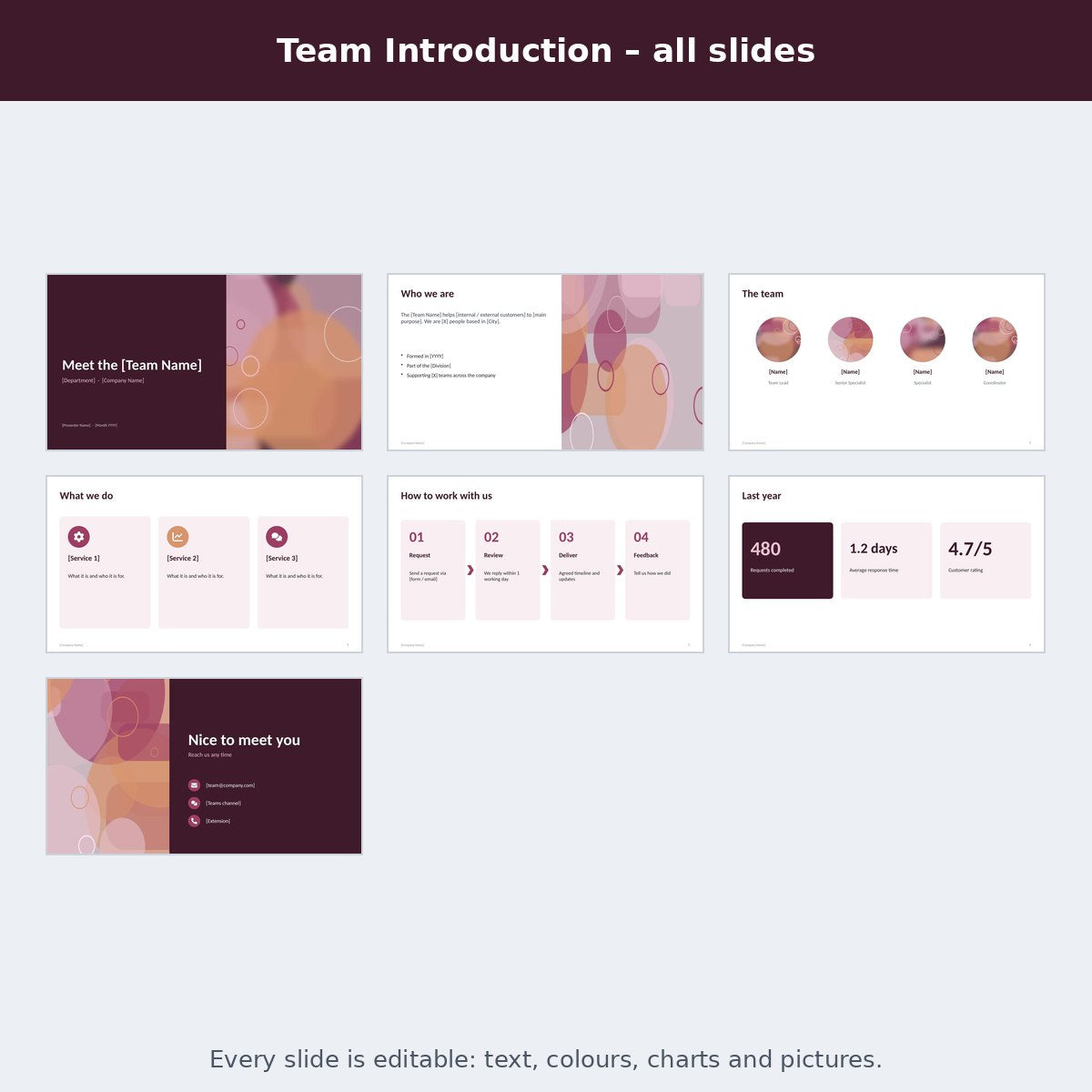 Team Introduction – preview