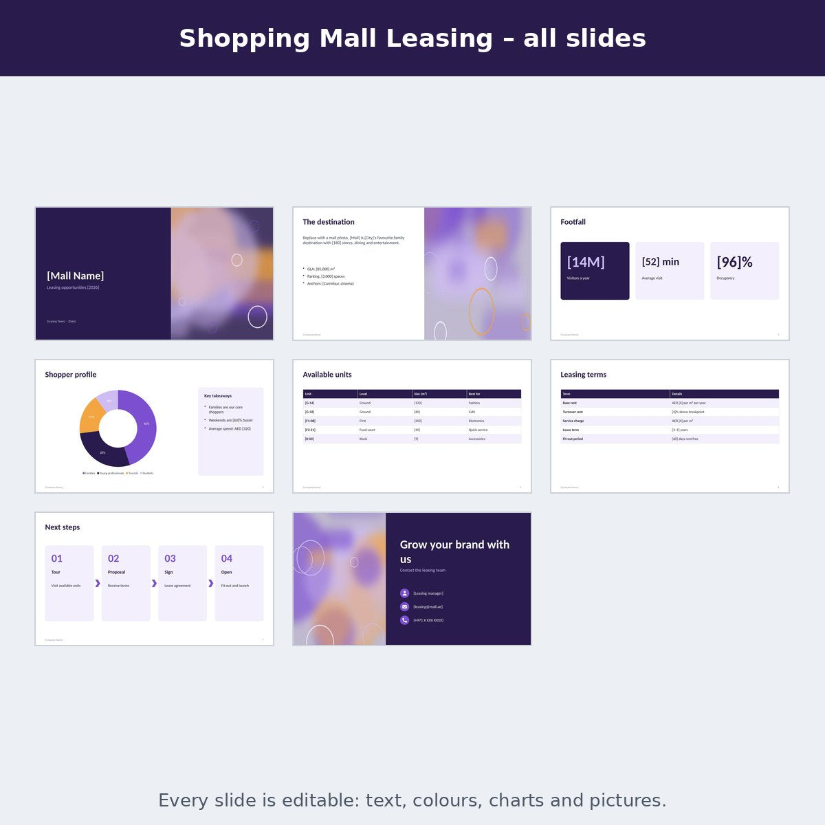 Shopping Mall Leasing – preview